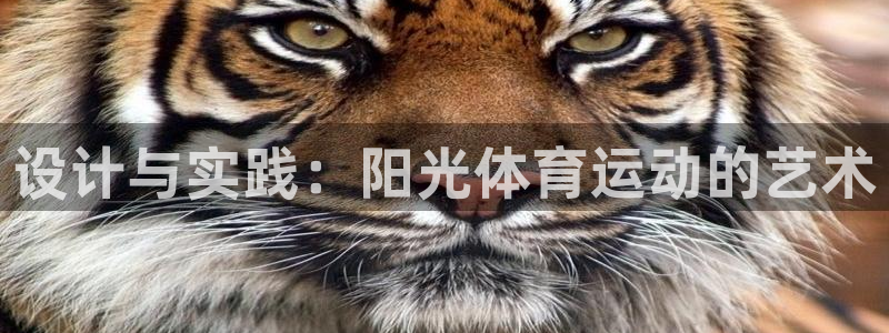 ug环球官网注册：设计与实践：阳光体育运动的艺术