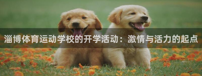 ug环球官网注册：淄博体育运动学校的开学活动：激情与活力的起点