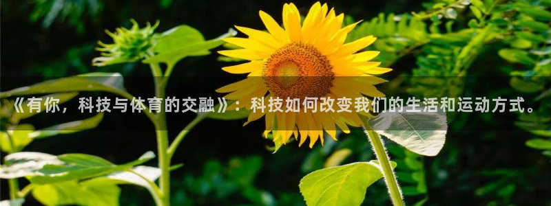 菲律宾ug环球官网：《有你，科技与体育的交融》：科技如何改变我们的生活和运动方式。