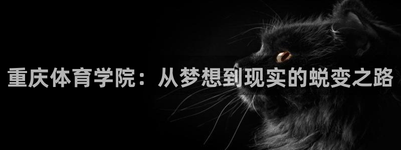 ug环球官网